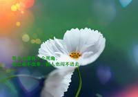 为什么小宝宝半夜呕吐