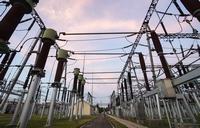 这些食物可以提高宝宝免疫力