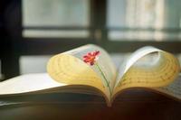 小儿脑瘫的防与治食疗