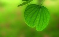 对孩子进行性教育要讲究技巧