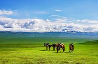 初中的孩子叛逆不想上学怎么办