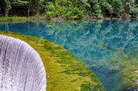 新生儿游泳有哪些好处呢