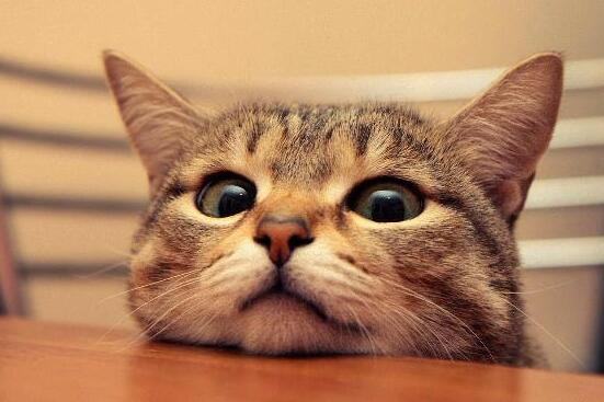 7招远程沟通走进孩子的心灵