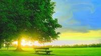 过敏体质宝宝吃什么比较好? 过敏体质宝宝吃什么比较好?