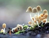 青春期孩子为什么不愿意与父母沟通 青春期孩子为什么不愿意与父母沟通