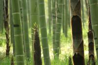 如何批评孩子的错误才最有效