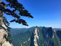 沉迷游戏的孩子最终会怎样 沉迷游戏的孩子最终会怎样