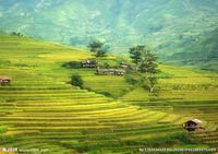 怎么跟初中的孩子沟通