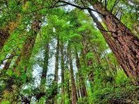 宝宝不吃奶瓶怎么办