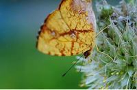 小孩子哮喘怎么治疗注意什么？