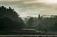 学步车怎么调高低