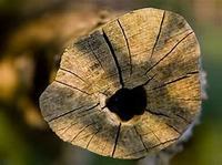 初三孩子厌学怎么办