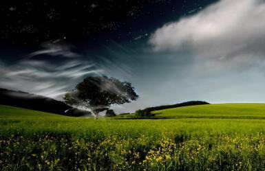 孩子性早熟的原因有什么