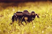 玩具童车什么牌子好