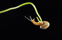 暖奶器什么牌子好