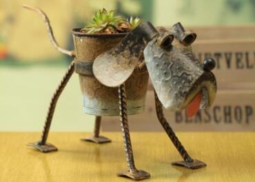 宝宝呕吐吃什么才好