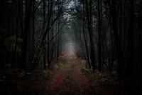 怀孕38周的症状，怀孕38周的反应及注意事项