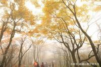 高中生玩手机屡教不改怎么办