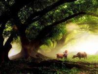 孩子沉迷网络怎么处理