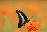 硅胶奶瓶多久换一次