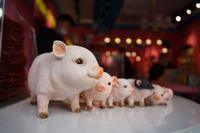 婴儿不吃奶瓶怎么办 宝宝不爱吃奶瓶的原因