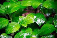 家庭教育方法有何原则