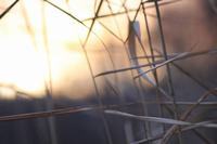 孩子自卑父母怎么开导