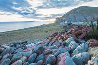 宝宝多大可以穿学步鞋？宝宝学步鞋怎么选