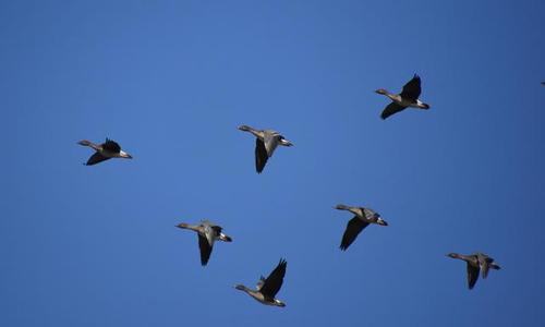 孩子比较自私怎么办