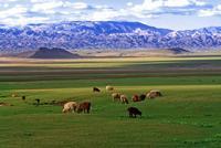 小孩子自私怎么教育