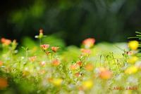 怎样增加孩子的食欲呢