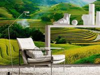 孕妇可以吃田螺吗 需要注意什么