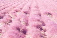 婴儿母乳喂养量是多少