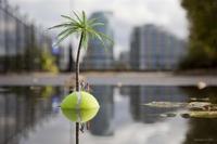 怀孕29周胎儿发育情况，怀孕29周的注意事项