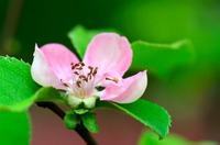 小天才宝贝电脑怎么样