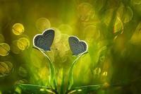 跟孩子怎么沟通是最好的方法