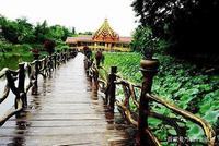 孕妇能不能吃榴莲