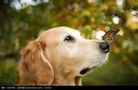 怎么跟青春期的男孩子沟通