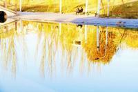 孩子增高的方法有什么