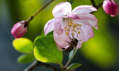 最容易毁掉孩子的7种爸爸 有你吗？