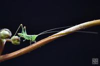 七大妙招帮孩子更好地与人相处