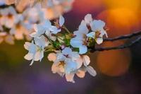 怎样教育孩子才是正确的方法