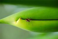 婴儿游泳的设备