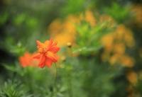 婴儿摇铃的作用