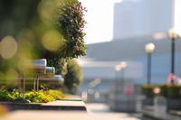 十一个月的宝宝可以吃榴莲吗