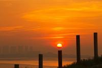 小孩子看手机入迷怎么办