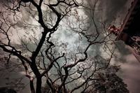 床铃对宝宝好吗