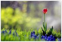 用这水冲奶粉当心害了自家娃