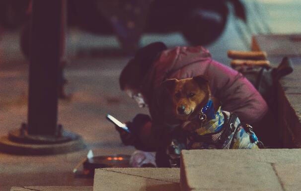 孕妇可以吃猕猴桃吗