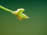 课堂教学中的“教”为“学”服务